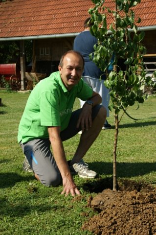 baum_13