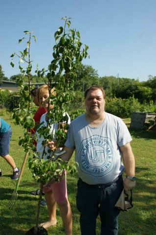 baum_5