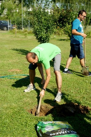 baum_6